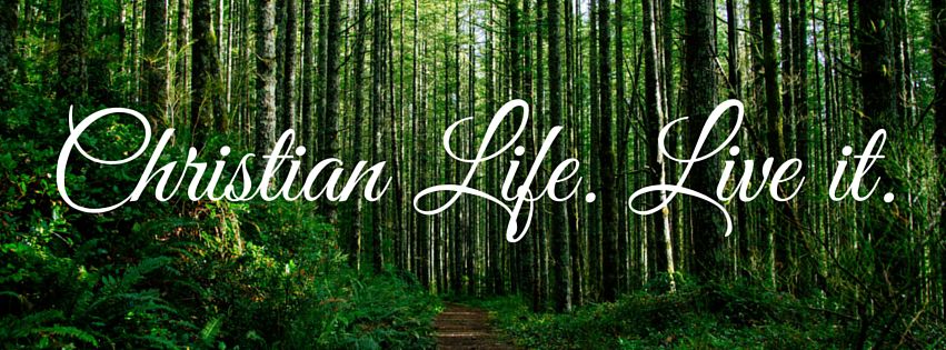 Effectively Living The Christian Life