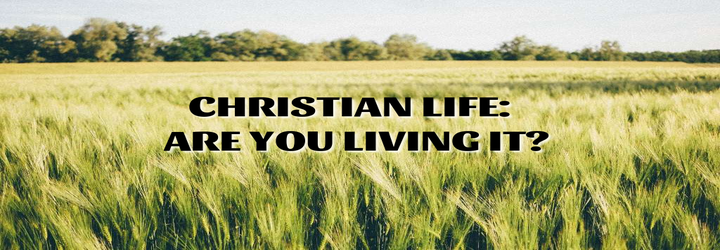 living-belief-the-catalyst-to-christian-living-simple-beautiful-life