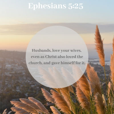 Ephesians Bible Study - Teleios, Inc.