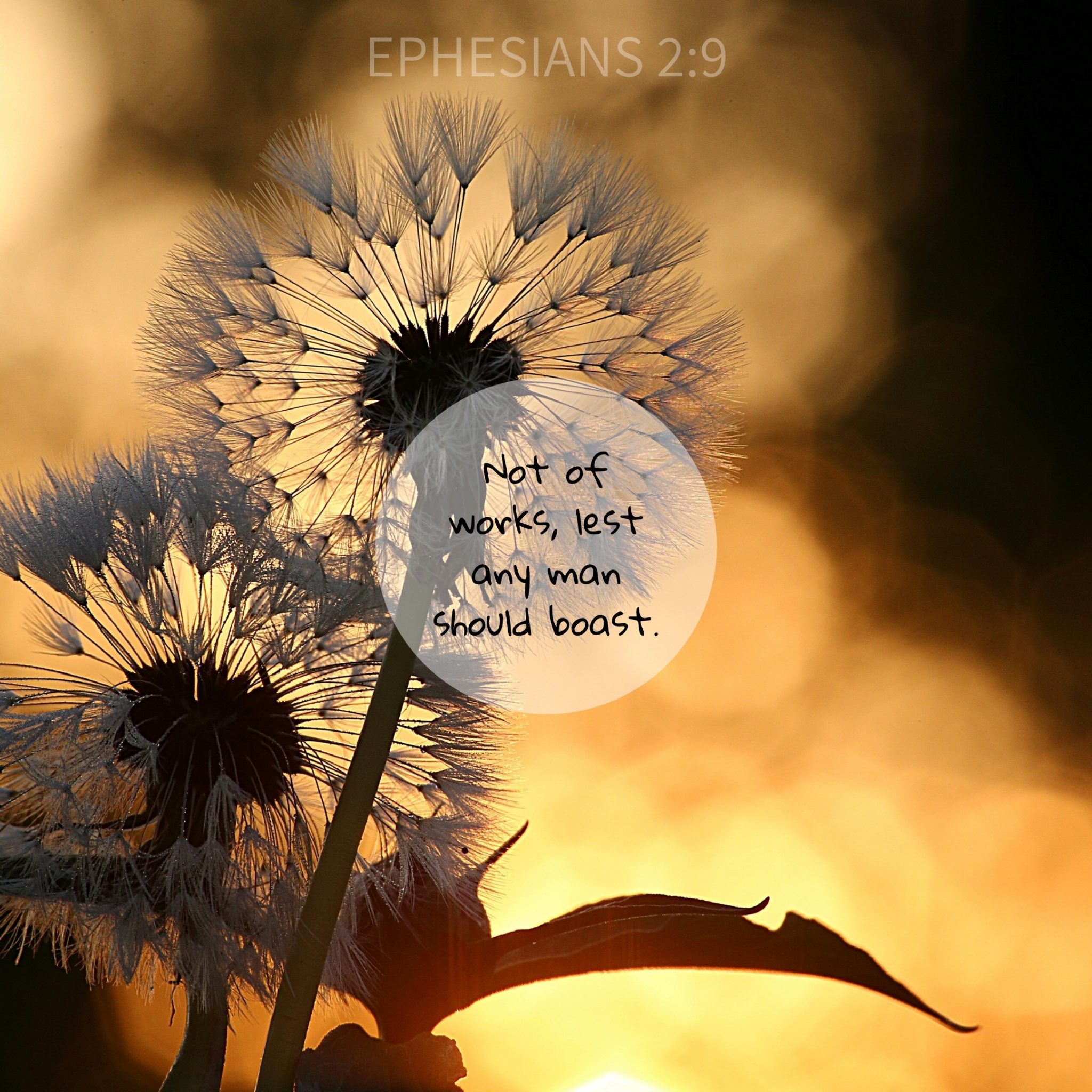 Ephesians Bible Study | Teleios, Inc.