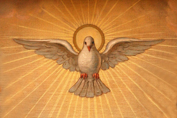 the-holy-spirit-s-vital-role-in-the-believer-s-life-part-4-teleios-inc