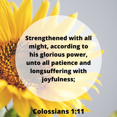 Colossians Bible Study - Teleios, Inc.